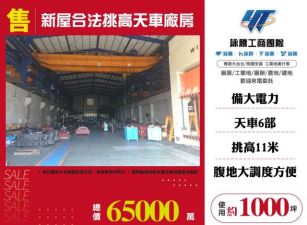 新屋合法挑高天車廠房124