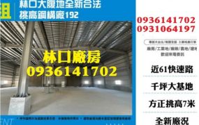 林口大腹地全新合法挑高鋼構廠