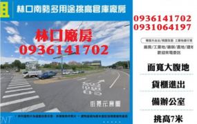 林口多用途挑高倉庫廠房