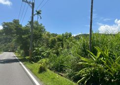 永慶許書豪★梅花湖都計內配建農地