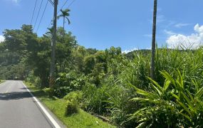 永慶許書豪★梅花湖都計內配建農地