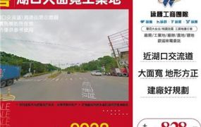 湖口大面寬工業地