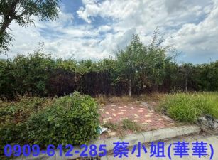 台南麻豆重劃區乙種工業地出售