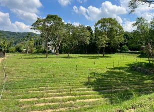 南和國小旁雙面臨路平坦資材美地