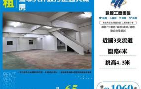 鶯歌大坪數方正透天廠房