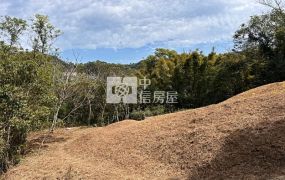 大溪超值丙建