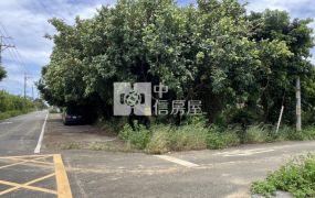 楊梅台31雙面路農地