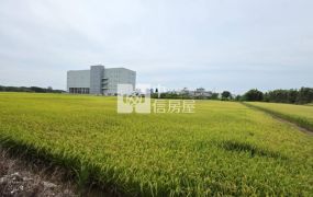 中壢新生路三段旁都內農地