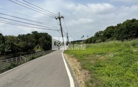 中壢三民路都內農地