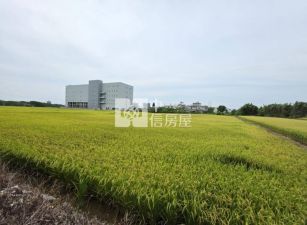 中壢新生路三段旁都內農地