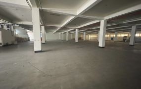 觀音工業區/碼頭/RC廠房(可廠登)•    桃園廠房工業地買賣/建地/徵收農地/廠房出租