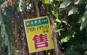 旗山旗南三路上優質 農地 雙面路 出售