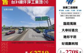 台31線仟坪工業地(1)155