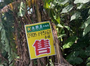 旗山旗南三路上優質 農地 雙面路 出售