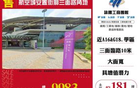 新北廠房廠辦 航空城安置街廓三面臨路角地