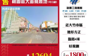 新北廠房廠辦 桃園區大面寬農地(可分割)