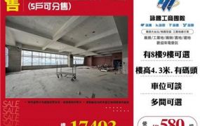 湖口工業區鑫豐時代8F廠辦(5戶可分售