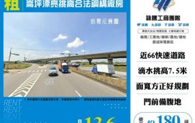 崙坪漂亮挑高合法鋼構廠房155
