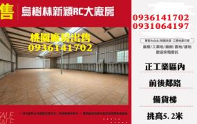 烏樹林新穎RC大廠房