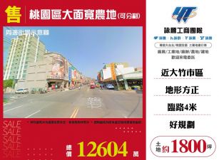 新北廠房廠辦 桃園區大面寬農地(可分割)