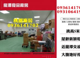 龍潭食品廠房