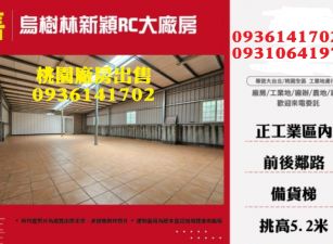 烏樹林新穎RC大廠房