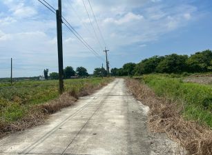 新埤夢想田園農地9.8分，近1甲的開闊大地，讓您遠離塵囂實現莊園夢想