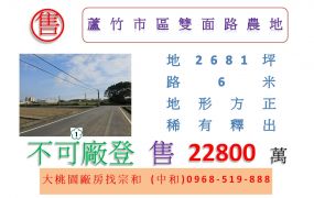 蘆竹市區雙面路農地