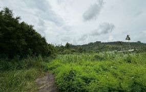 中埔大筆俗農地28-007