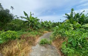 番路客庄農地20-005