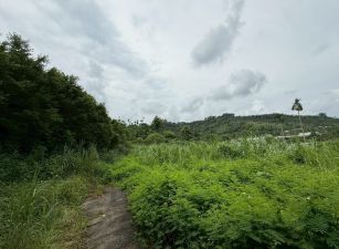 中埔大筆俗農地28-007