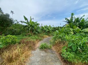 番路客庄農地20-005