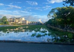 永慶許書豪★近羅運，竹林市集足坪美農地