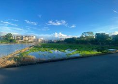 永慶許書豪★竹林市集旁535農地