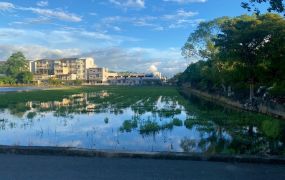 永慶許書豪★近羅運，竹林市集足坪美農地