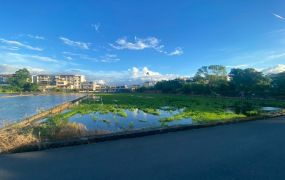 永慶許書豪★竹林市集旁535農地
