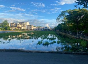 永慶許書豪★近羅運，竹林市集足坪美農地