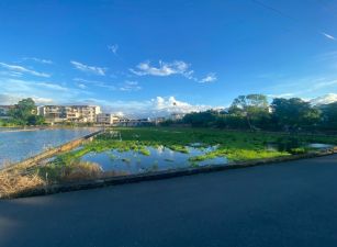 永慶許書豪★竹林市集旁535農地