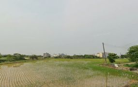楊梅甲建雙面路