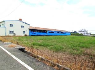 阿蓮|合法畜牧場|鬧中取靜|農牧用地養殖場