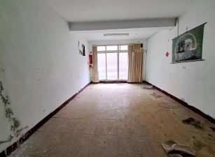 崎子頭俗透天06-539