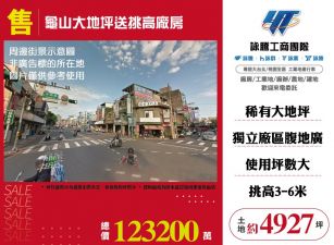 龜山超值大地坪送挑高廠房184