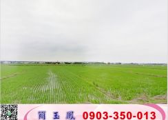 蘇澳方正三角窗工業地/工業地廠房買賣租賃