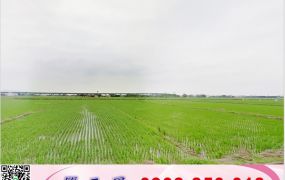 蘇澳方正三角窗工業地/工業地廠房買賣租賃