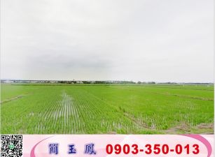 蘇澳方正三角窗工業地/工業地廠房買賣租賃