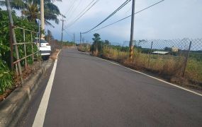 大樹三和近省29線2.44分農地