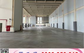 新埔全新鋼構廠房(可分租)/工業地廠房買賣租賃