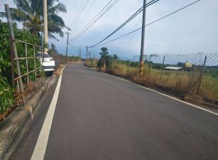 大樹三和近省29線2.44分農地