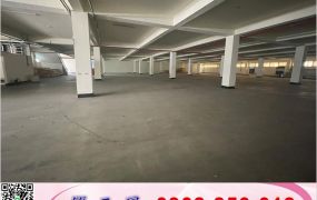 觀音工業區備碼頭RC廠(可依法廠登)/工業地廠房買賣租賃