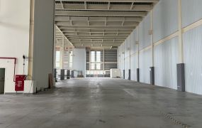 租新埔全新鋼構廠房